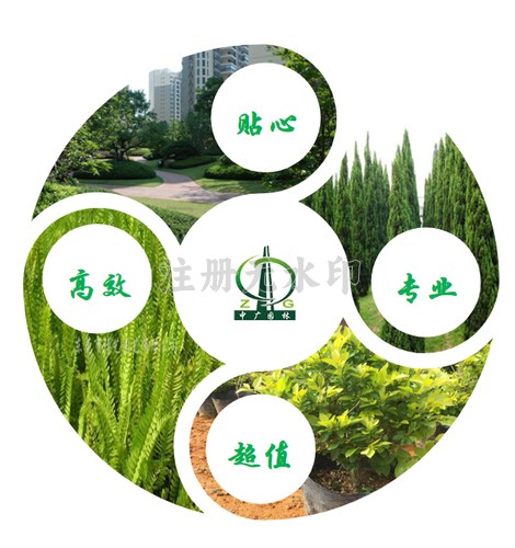 选择我们的五大优势2